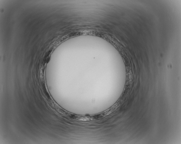 X0000085840611200703301646