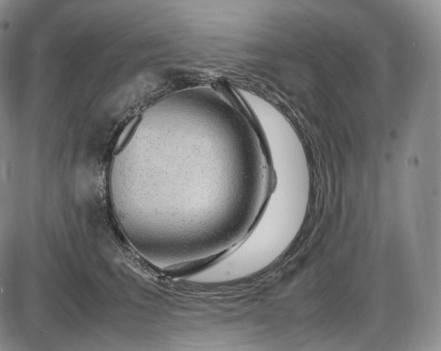 X0000085840613200703301646