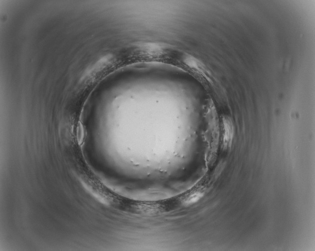X0000085840615200703301646