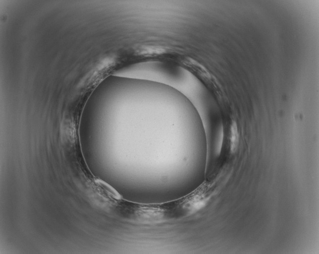 X0000085840617200703301646