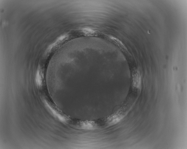 X0000085840618200703301646