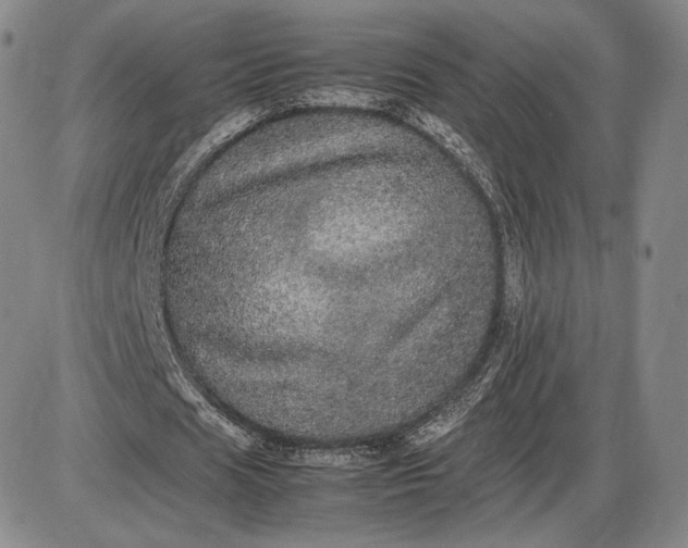 X0000085840625200703301645