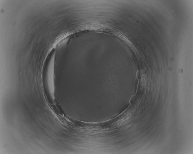 X0000085840626200703301645
