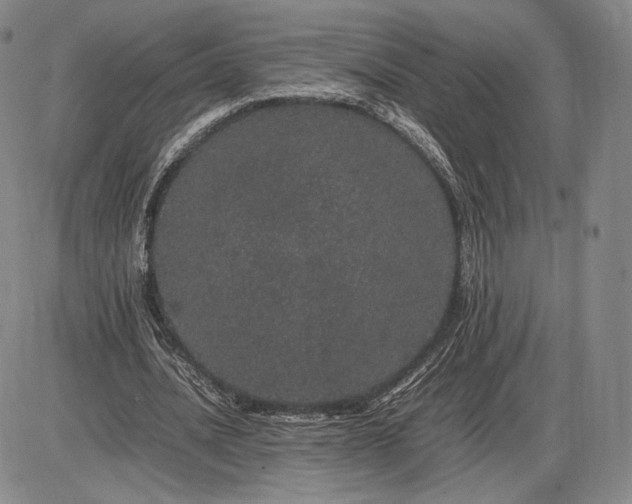 X0000085840628200703301645