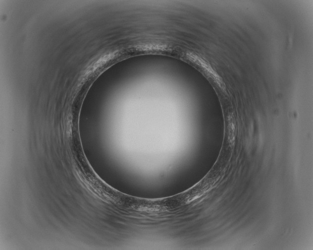 X0000085840631200703301646