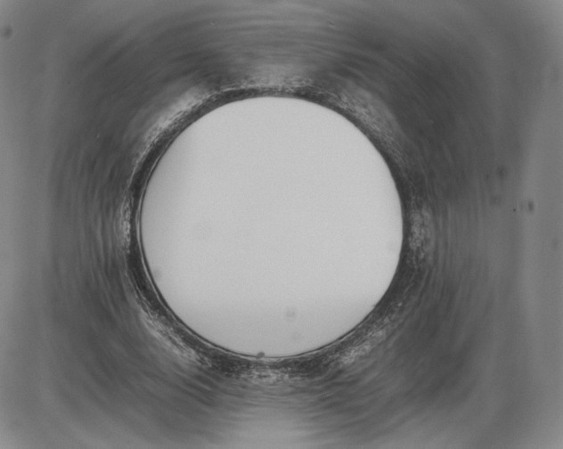 X0000085840632200703301646