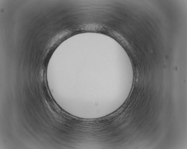 X0000085840636200703301646