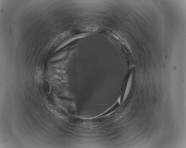 X0000085840641200703301646