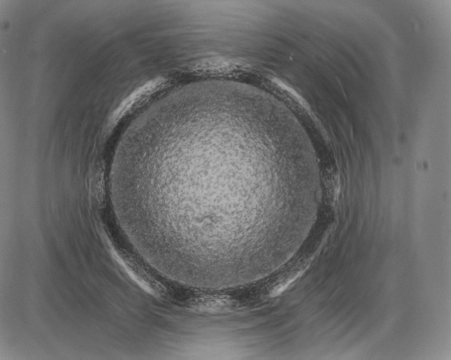 X0000085840642200703301646