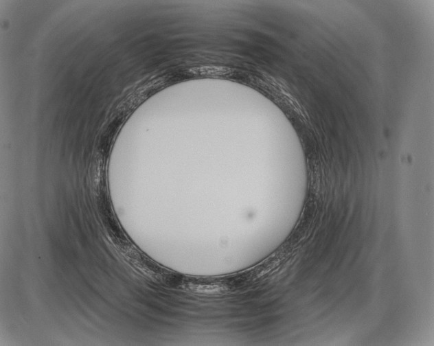 X0000085840645200703301646