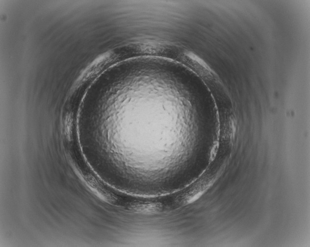 X0000085840646200703301646