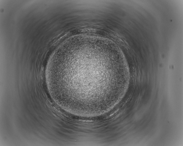 X0000085840649200703301646