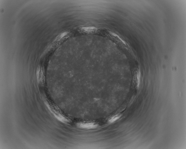 X0000085840651200703301646