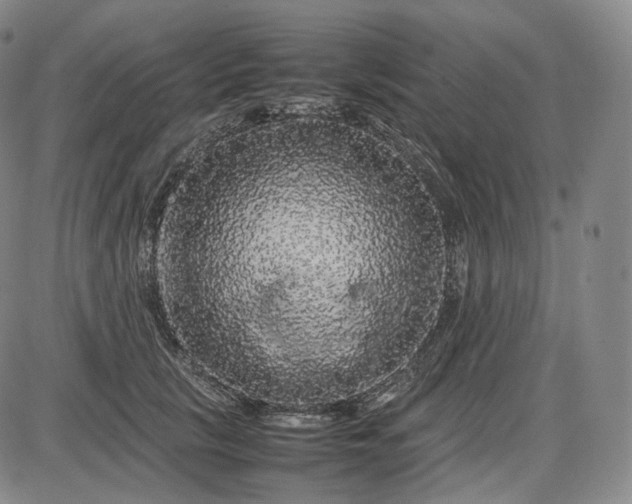X0000085840657200703301646