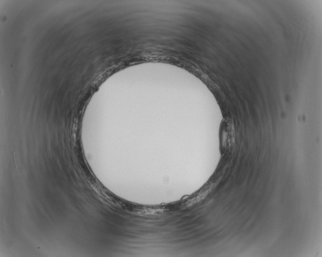 X0000085840664200703301646