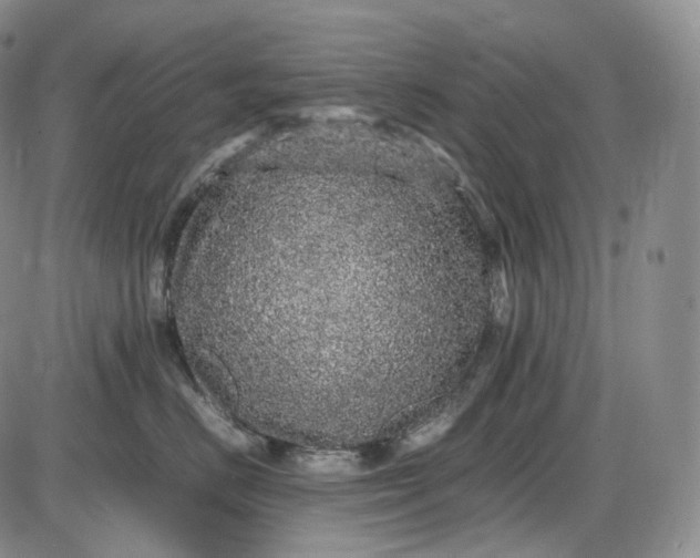 X0000085840670200703301646