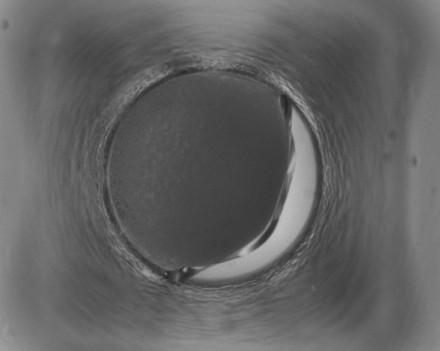 X0000085840673200703301645