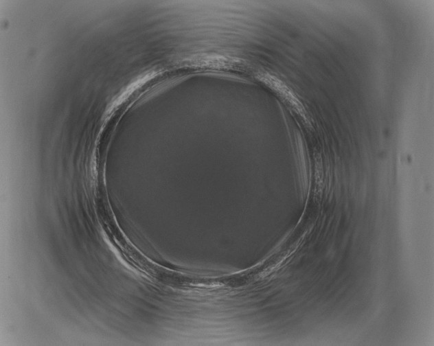 X0000085840674200703301645