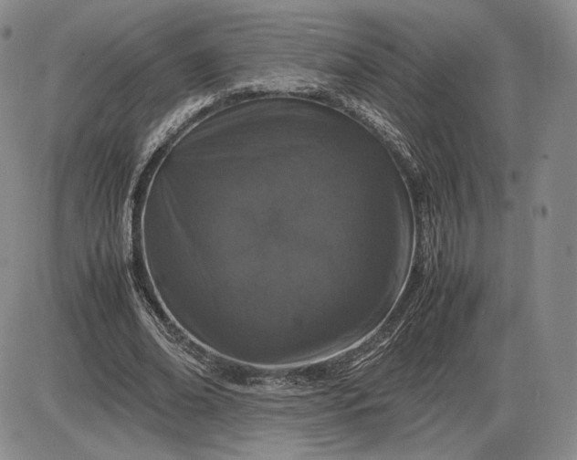 X0000085840678200703301645