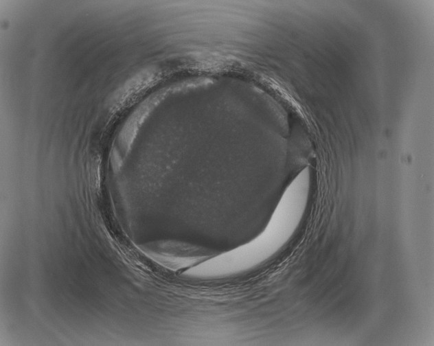 X0000085840685200703301645