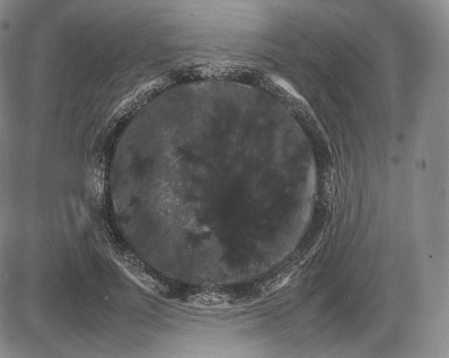 X0000085840691200703301645