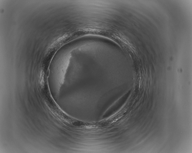 X0000085840692200703301645