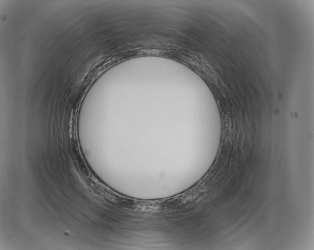 X0000085840694200703301645