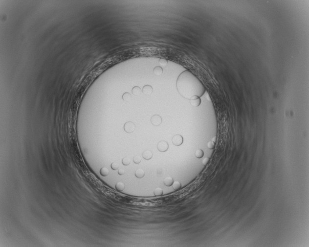 X0000085840698200703301645