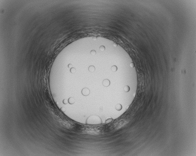 X0000085840702200703301645