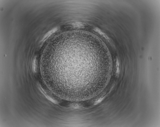 X0000085840704200703301645