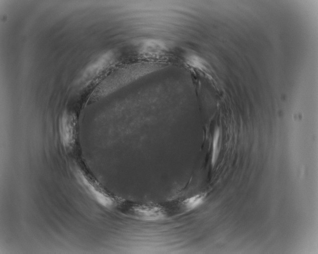 X0000085840712200703301645