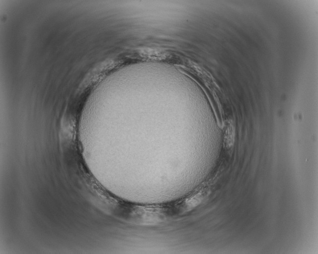 X0000085840713200703301645