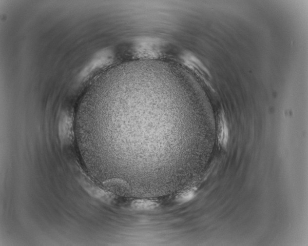 X0000085840714200703301645