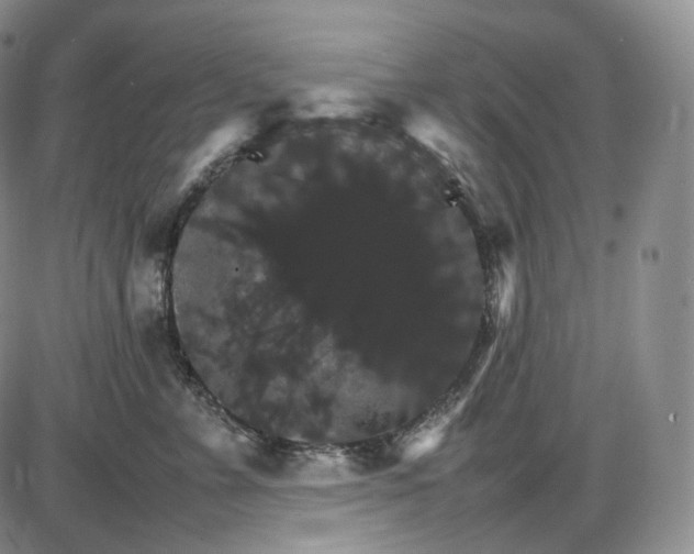 X0000085840715200703301645