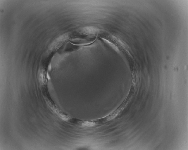 X0000085840718200703301645