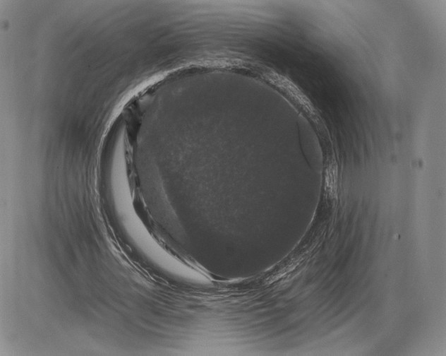 X0000085840724200703301644
