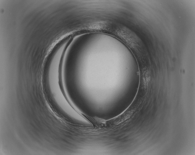 X0000085840728200703301644
