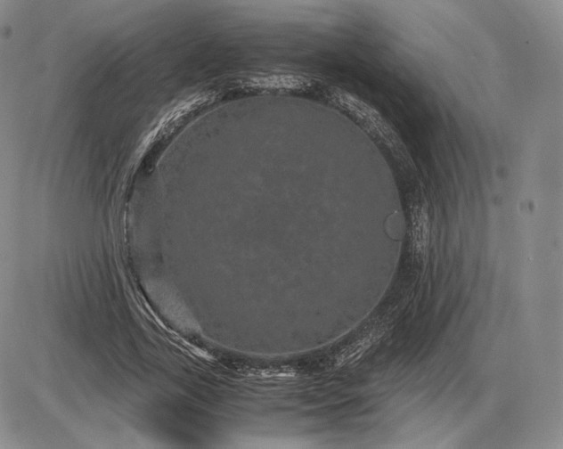 X0000085840731200703301644