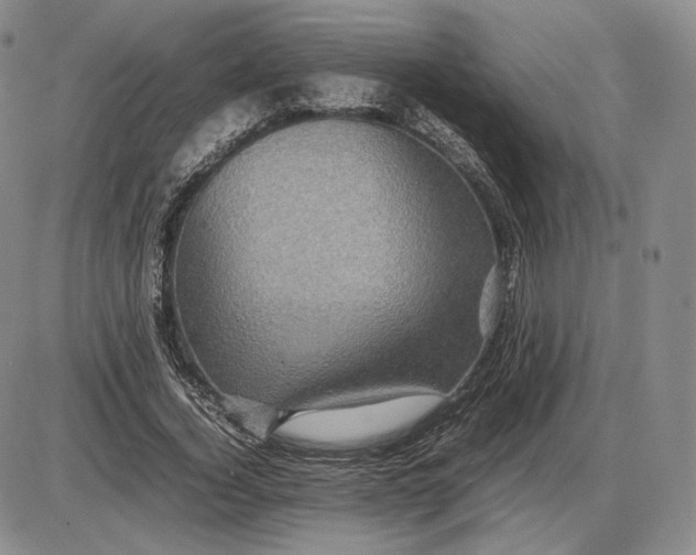 X0000085840732200703301644