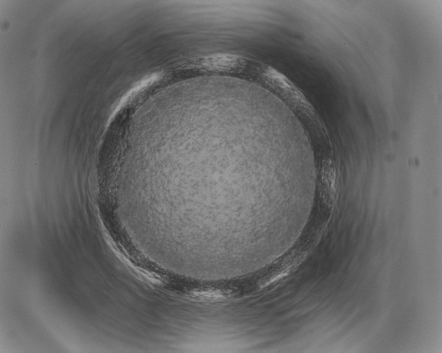 X0000085840734200703301644