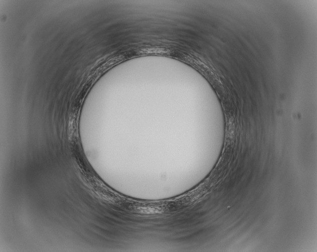 X0000085840741200703301644