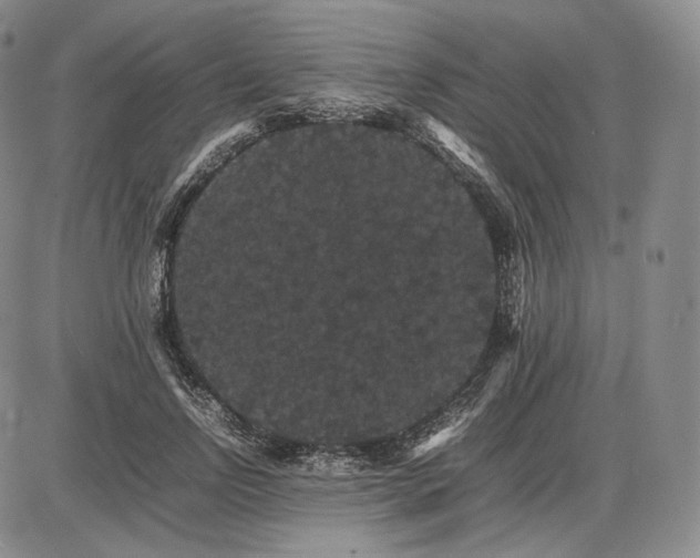 X0000085840742200703301644
