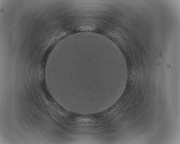 X0000085840743200703301644