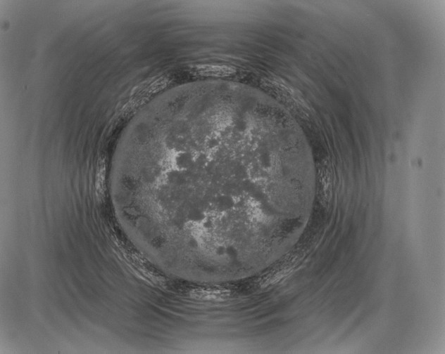 X0000085840745200703301644