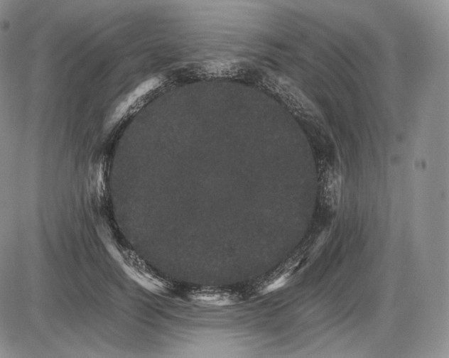 X0000085840746200703301644