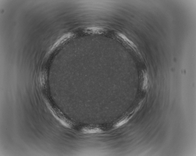 X0000085840747200703301644