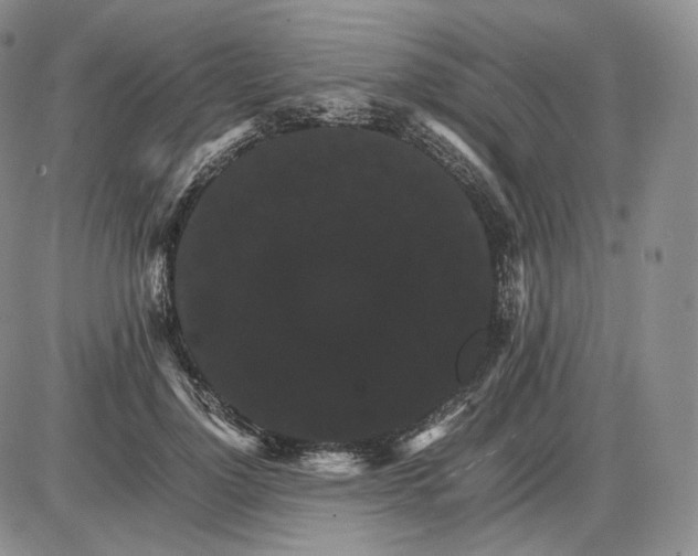 X0000085840748200703301644