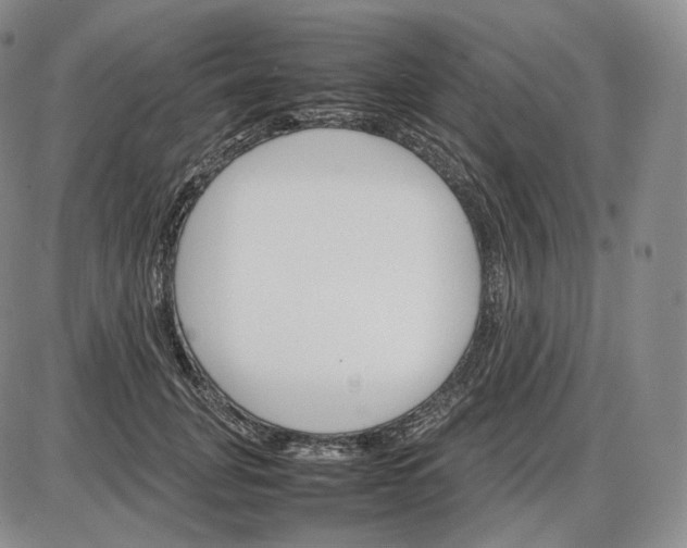 X0000085840751200703301644