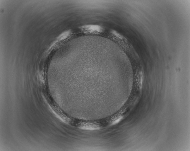 X0000085840755200703301644