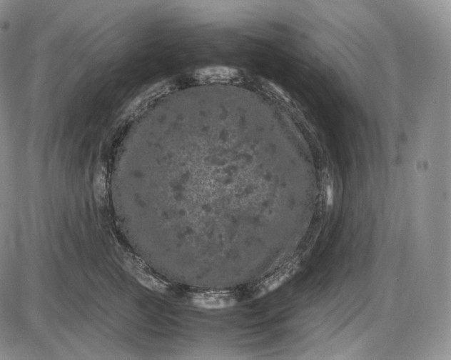 X0000085840761200703301644
